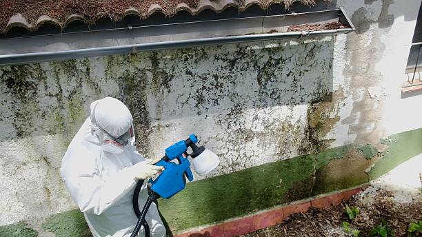 Trusted Mold Testing service in Confluence, PA - Cheap Mold Removal